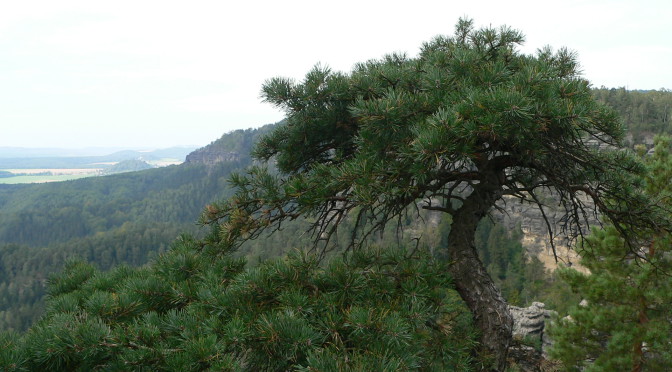 Národní park Saské Švýcarsko